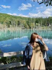 【美瑛】アイスブルーの美しい&不思議な池🫣💎💙🪞【北海道】