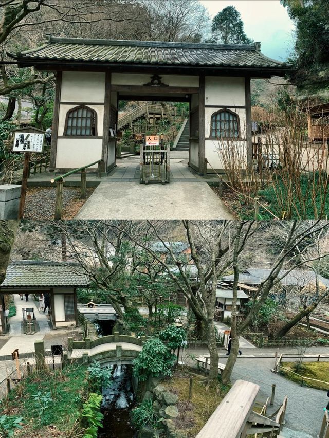 【明月院】鎌倉にあるモダンでシックなお寺🫶🏼🖤🫧【神奈川県】