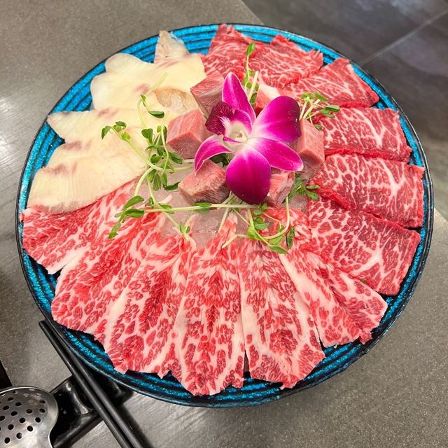 九龍城寵物友善親子火鍋