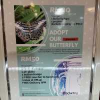 Best experience for reptiles lover!