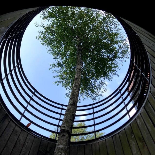아난티 가평(아난티코드) 테라스하우스에서 호캉스🌳
