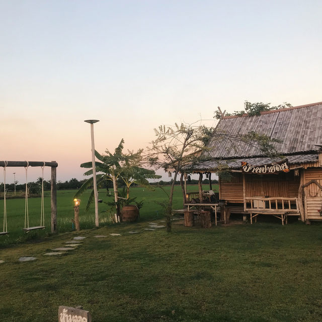 แช่อ่าง ดริปกาแฟ เก็บไข่ไก่สด