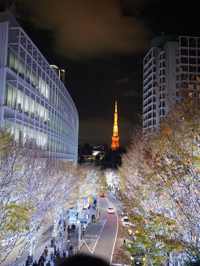 一定不能錯過的Roppongi Hills! 加上東京鐵塔的必拍地！