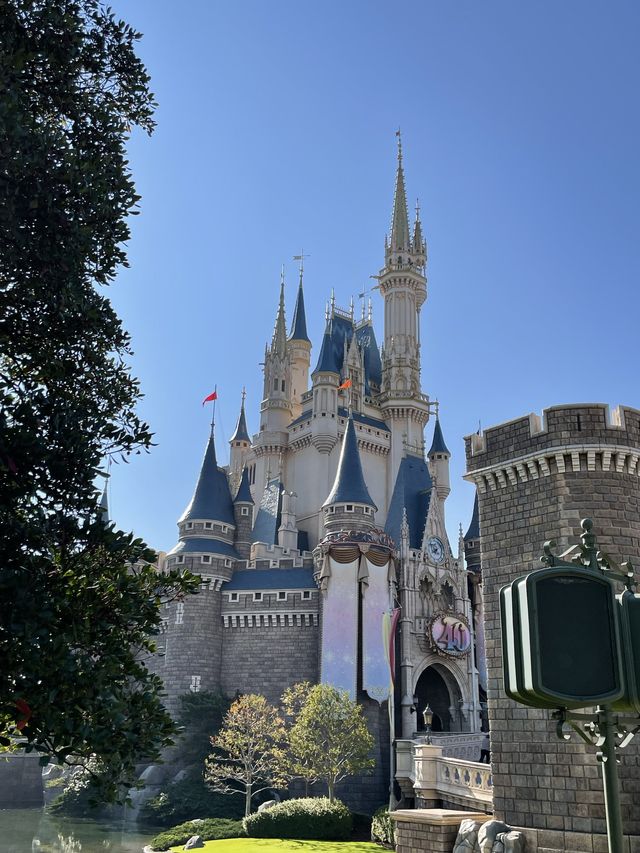 【2023年行ってよかった！】40周年イベント開催中のディズニーランドクリスマス2023