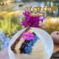 📍“มีนา มีข้าว” Meena Rice Based Cuisine เชียงใหม่