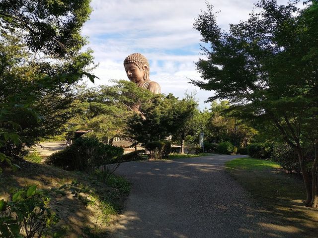 「東海市聚樂園大佛」- 紀念昭和天皇成婚的象徵，享受溫泉、美食和日式庭園的一整天樂趣