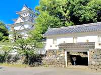 Ogaki Castle in Gifu