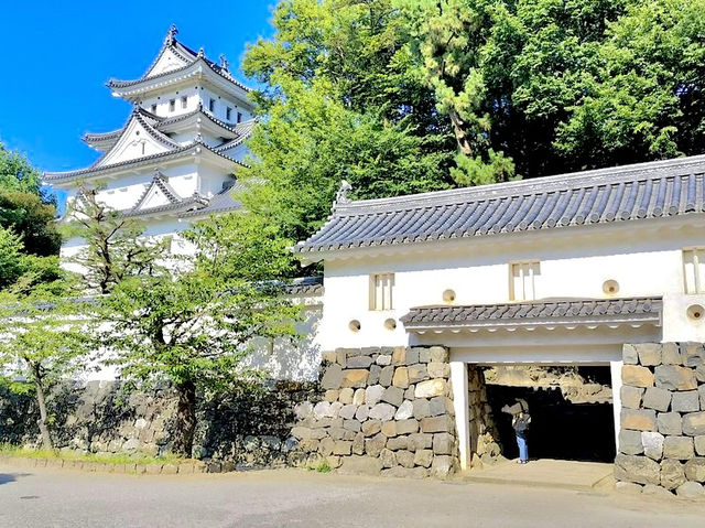 Ogaki Castle in Gifu