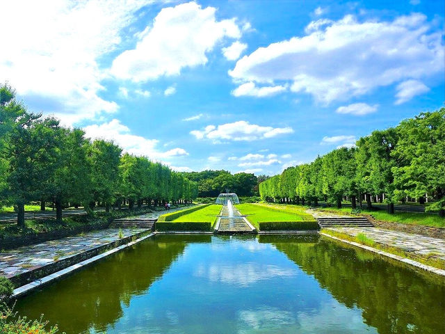 Showa Kinen (Memorial) Park