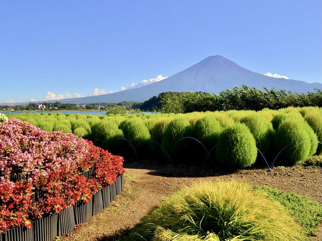 The best view of Mt. Fuji