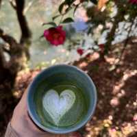 京都Vermilion cafe