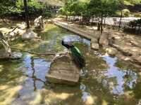 Kobe Oji Zoo