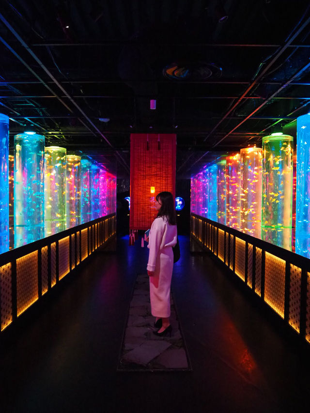 【東京(銀座)】季節ごとに楽しめて、この冬に行きたい！金魚のアートアクアリウム