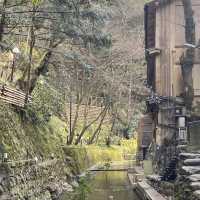 貴船神社～水占卜～洗滌心靈最佳之選！