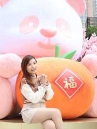 💞荃灣廣場🐼幸福熊貓新春園🌸
