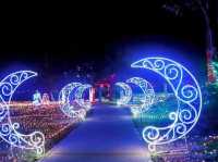 Starry Lighting Park