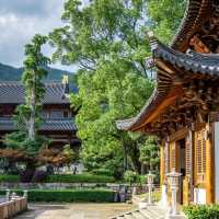 農禪寺！靜謐氣息世外桃源
