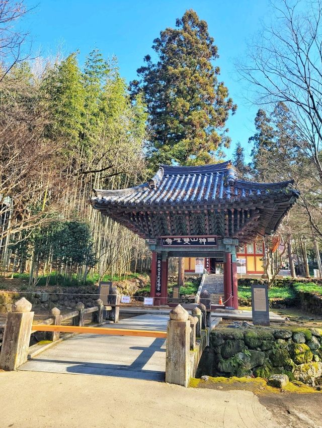 벚꽃시즌이 더 기대되는 하동의 대표여행지💛