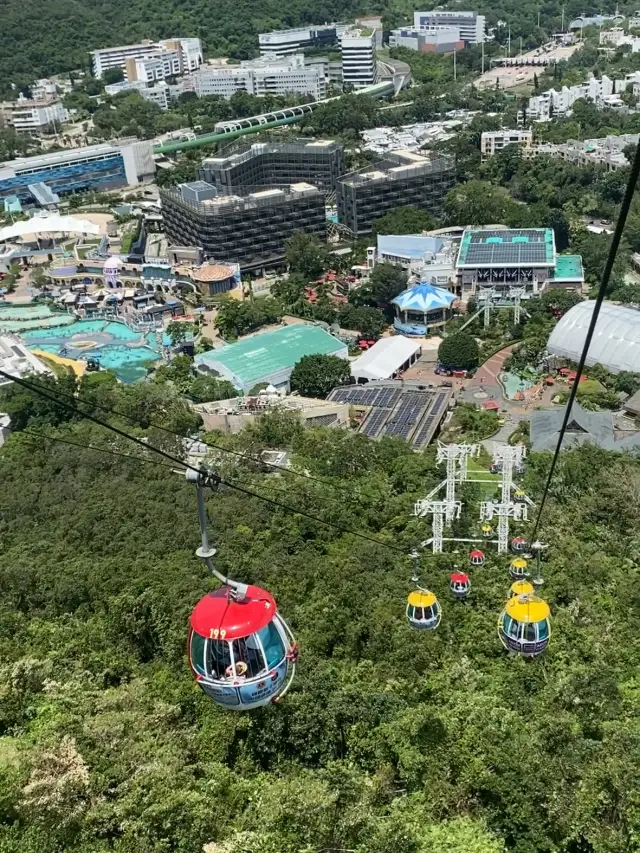 香港🇭🇰海洋公園一日遊