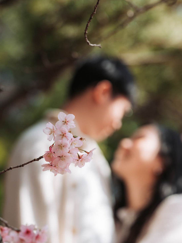 Tokyo Prewed