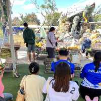 พญาเต่างอยสกลนครบ้านเฮา