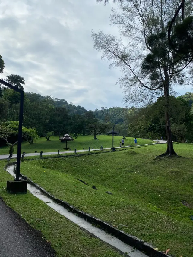 Tranquil Penang Botanjc Gardens 🇲🇾