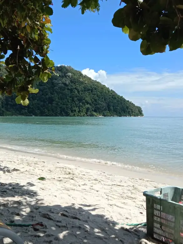 We Hiked Our Way to Monkey Beach, Penang 🇲🇾