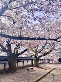【島根　松江】お城まつり