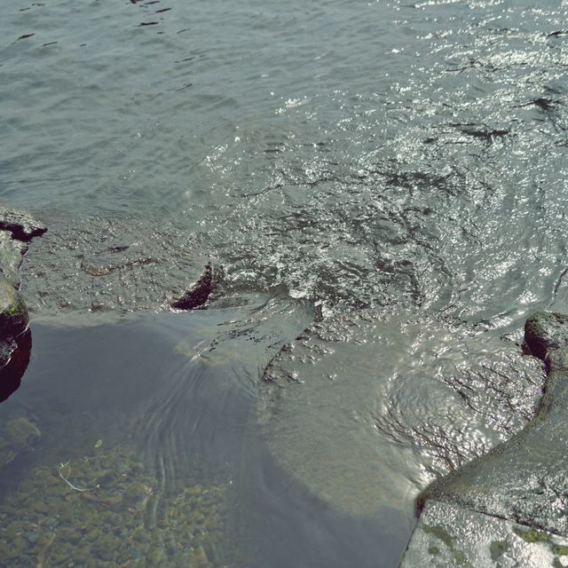 🌊 샛도리물, 제주 삼양의 신성한 용천수