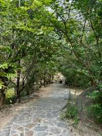 연태 천고산(天崮山)