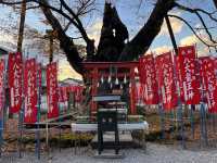 秩父今宮神社　@秩父