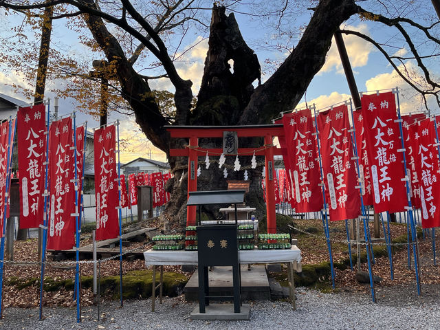 秩父今宮神社　@秩父