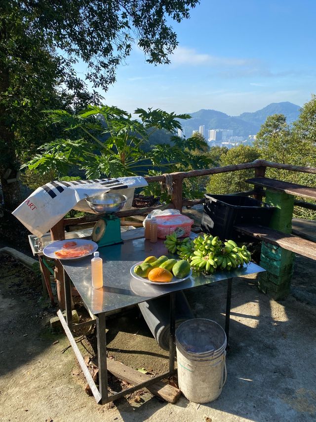 Hiking to the Peak of Penang Hill 🇲🇾