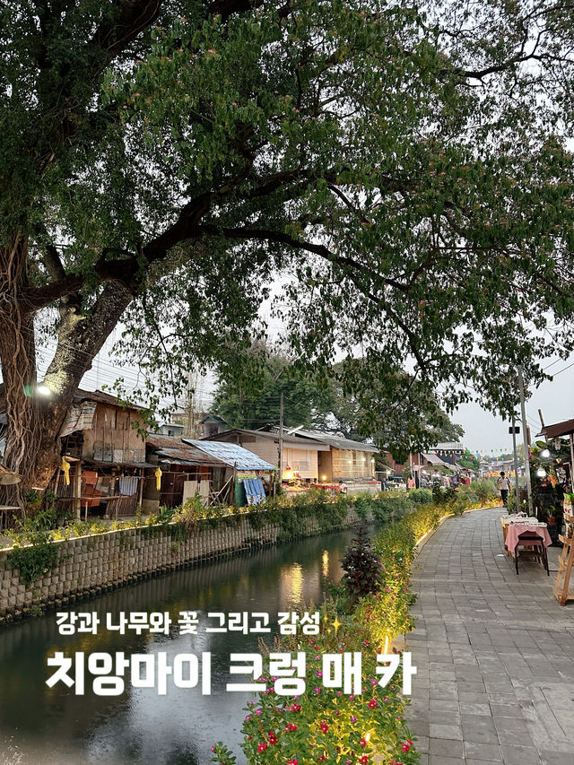 솔직히 나만 알고 싶었다…🥹 치앙마이 크렁 매 카