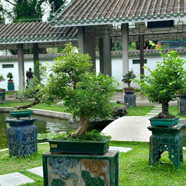澳門花城公園：花海中的寧靜與美麗 🌺🌳