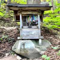 【戸隠神社宝光社/長野県】270余段の先にある神社 