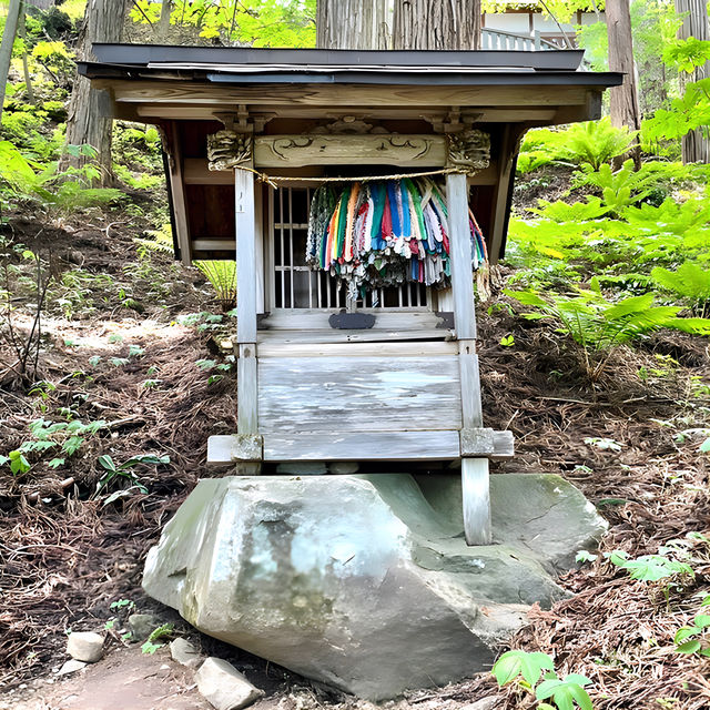 【戸隠神社宝光社/長野県】270余段の先にある神社 