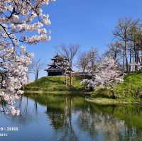 高田城址公園