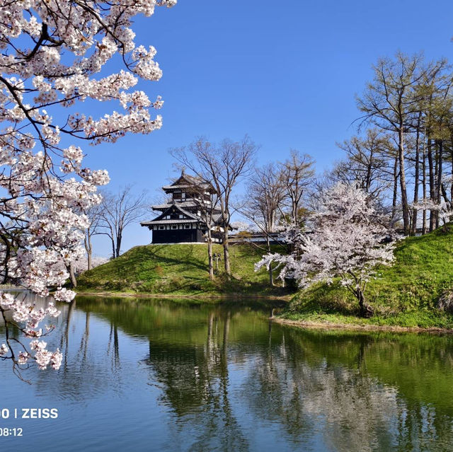 高田城址公園