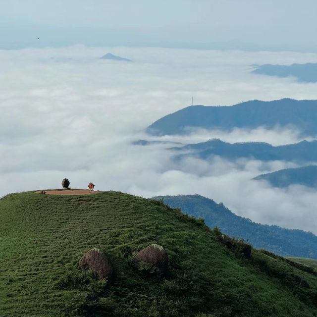 「惣岳山，攀登雲霧中的嚮望」