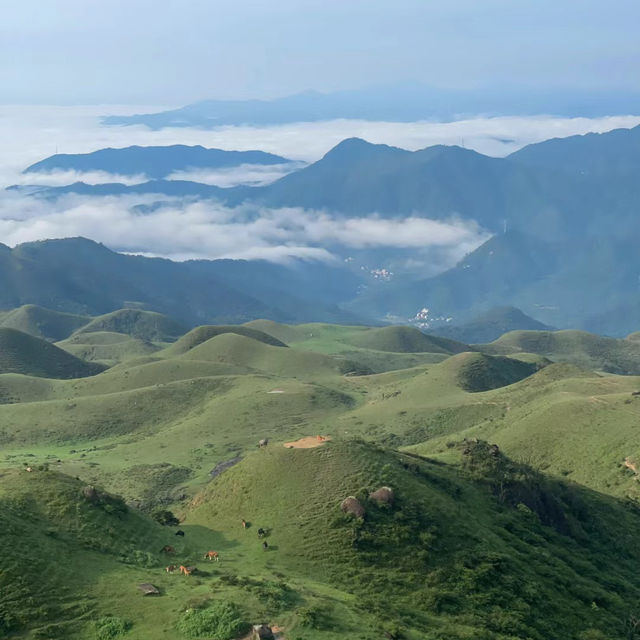 「惣岳山，攀登雲霧中的嚮望」