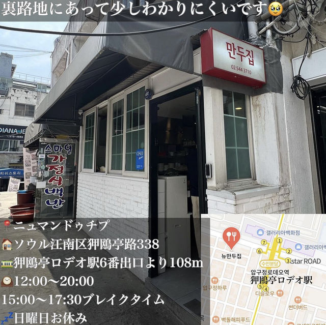 韓国/ソウル【狎鴎亭ロデオ】ミシュランマンドゥ