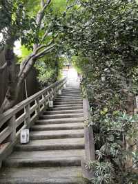 【京都】アカガネリゾートの美しい建築と庭園