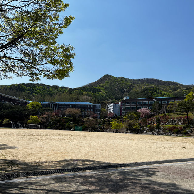 Joongbu University 중부대학교