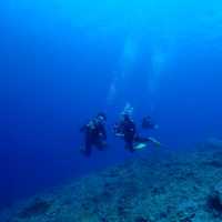 Amazing diving at okinawa