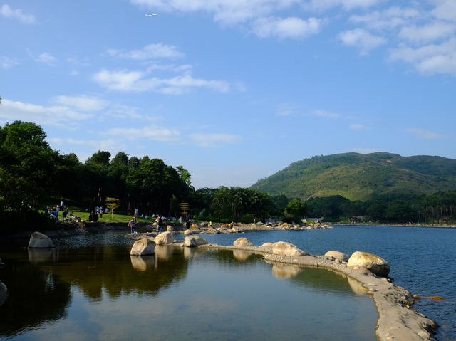 【春天好去處】「迪欣湖」：美人樹下野餐🧺，人生一大樂事‼️