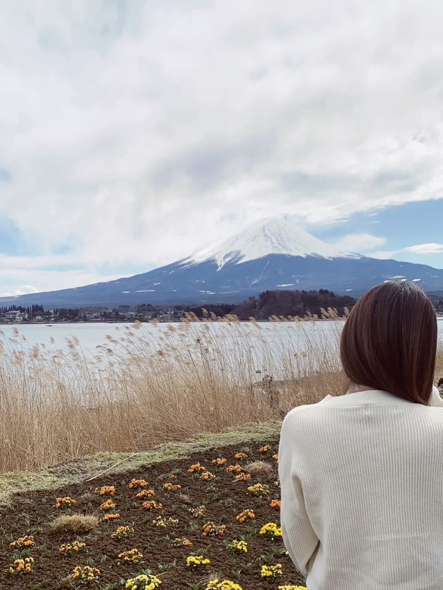 A trip to see Mount Fuji 🗻