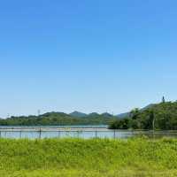 「星湖濕地公園」寧靜與美好