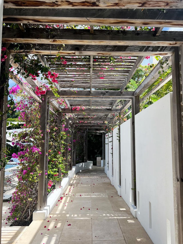 Another day at a beautiful resort🥰