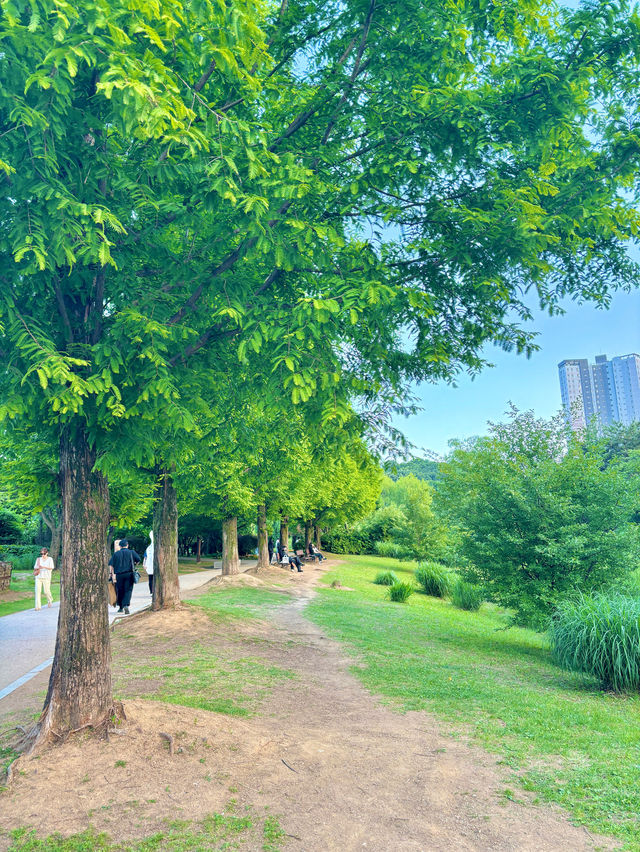그림같은 풍경이 펼쳐지는 이곳은 서울근교 일산🌳